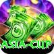 t20 asia cup VIP