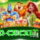 t20 cricket VIP Edition v2.2.3
