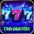 t20 match Deluxe v4.5.9
