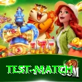 test match Deluxe Pro v4.5.9