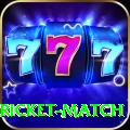to day cricket match Premium Edition v1.5.3