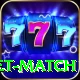 to day cricket match Premium Edition v1.5.3