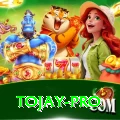 tojay Premium Edition v1.2.6