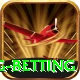 turkey super lig betting Games (Casino & Earning) Max v5.5.1