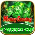 under 19 cricket world cup Deluxe v5.5.3