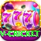 v cricket Deluxe v4.5.0