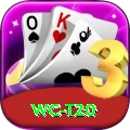wc t20 Pro1 v5.4.5
