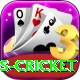 west indies cricket App