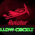 willow cricket Max v5.4.8