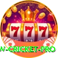 willow cricket APK VIP v2.4.4