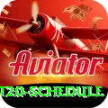 world t20 schedule Apps (Tools & Injectors) Turbo v3.3.0
